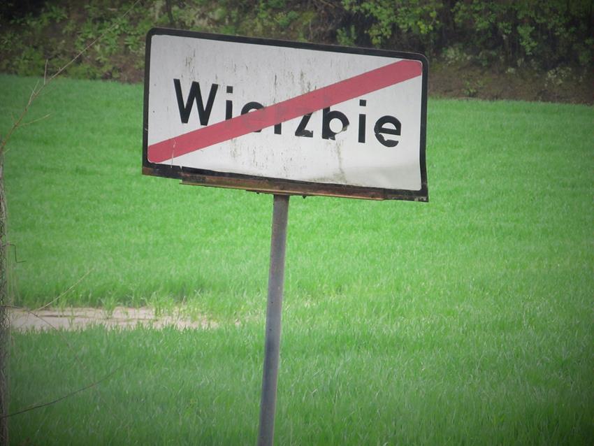 Wierzbie (2).jpg