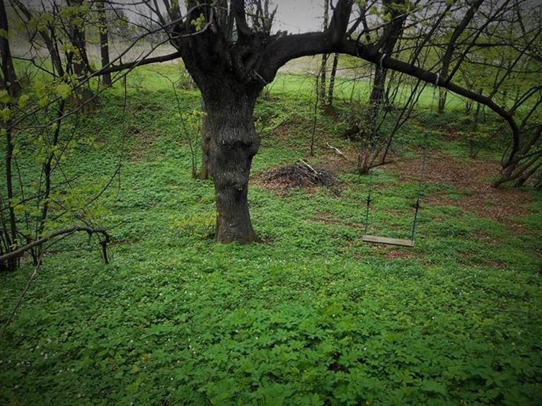 Widok z majdanu na fosę.JPG