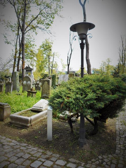 Na Starym Cmentarzu Żydowskim (7).JPG