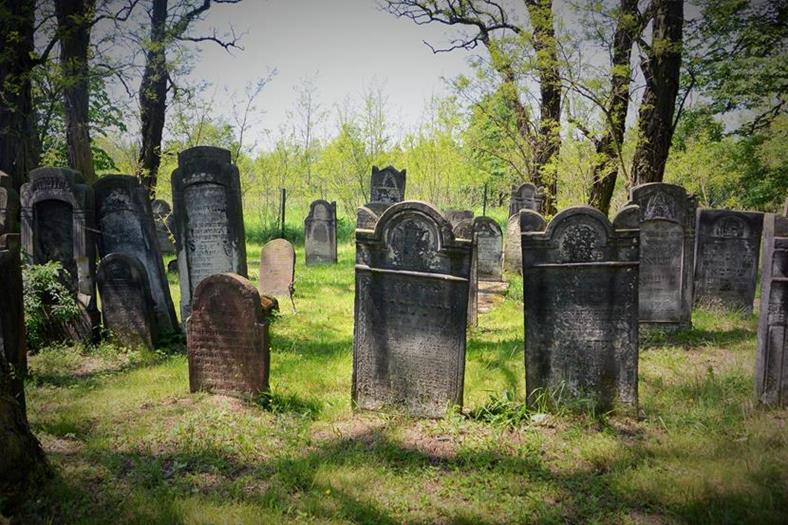 Cmentarz żydowski w Krzykawce (2).JPG