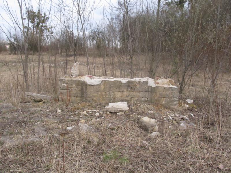 Ruiny pozostałych zabudowań Zakładu Wapieniczego (7).jpg
