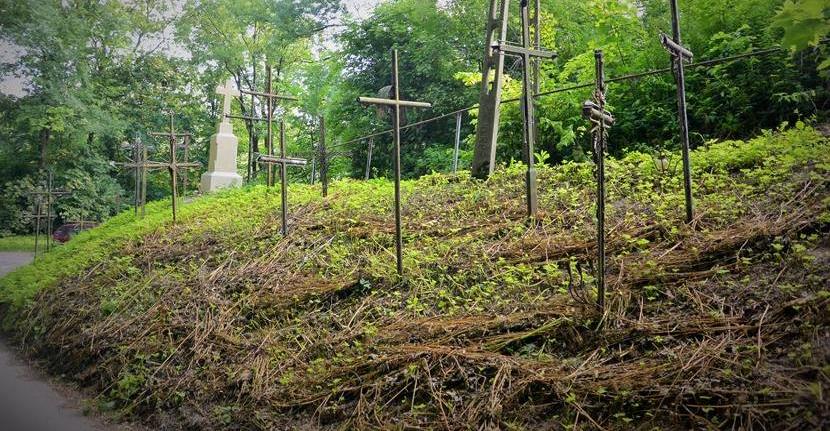 Górka Kościelnicka - krzyże zbierane przez księdza Józefa Hojnowskiego (10).JPG