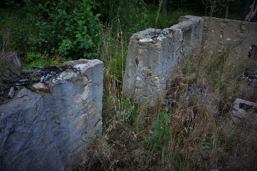 Ruiny młyna w Lelowie (6).JPG