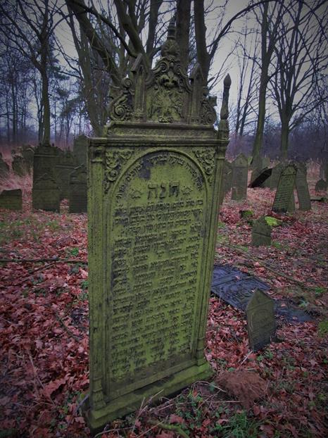 Cmentarz żydowski w Krzepicach (7).jpg