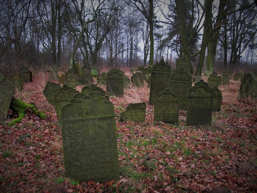 Cmentarz żydowski w Krzepicach (8).jpg