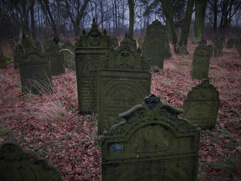 Cmentarz żydowski w Krzepicach (9).jpg
