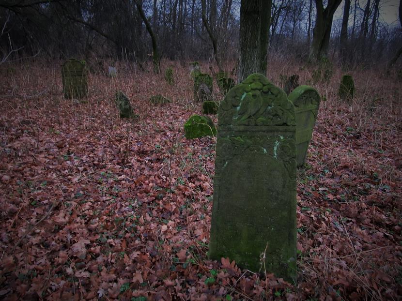 Cmentarz żydowski w Krzepicach (21).jpg