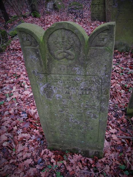 Cmentarz żydowski w Krzepicach (24).jpg
