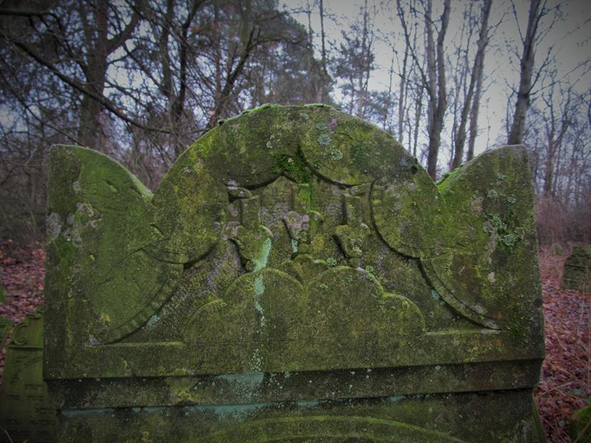 Cmentarz żydowski w Krzepicach (25).jpg