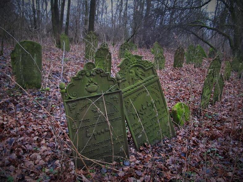 Cmentarz żydowski w Krzepicach (26).jpg