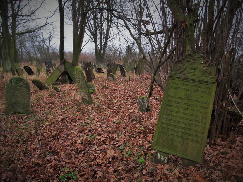 Cmentarz żydowski w Krzepicach (29).jpg