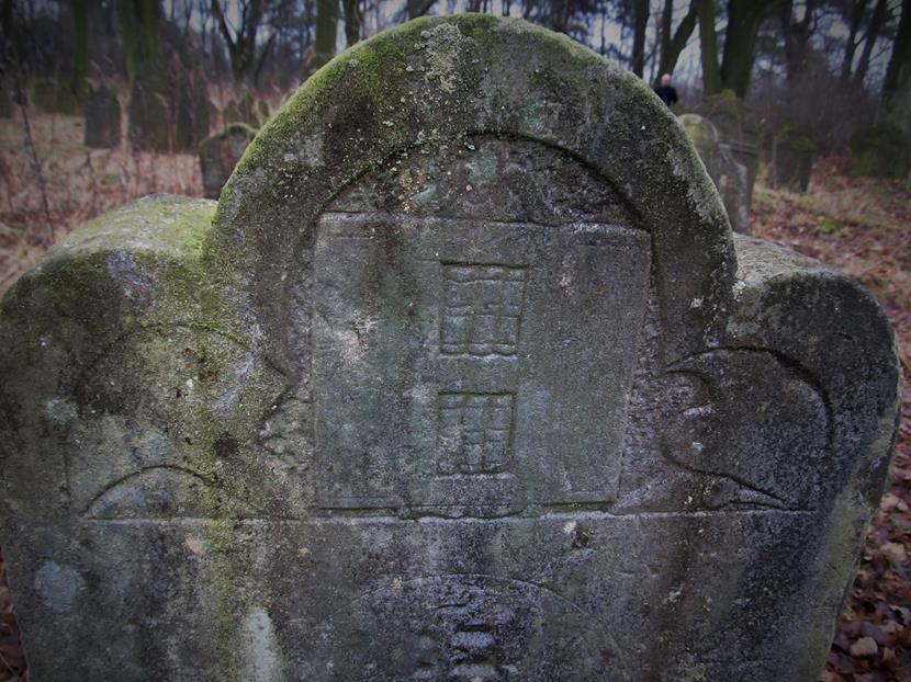 Cmentarz żydowski w Krzepicach (33).jpg