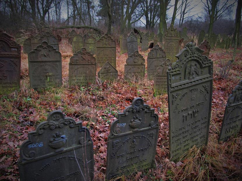 Cmentarz żydowski w Krzepicach (37).jpg