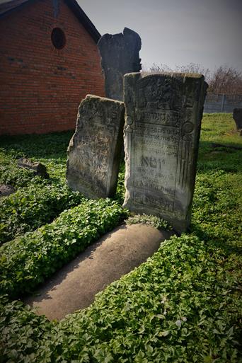 Cmentarz żydowski w Mszczonowie (8).JPG