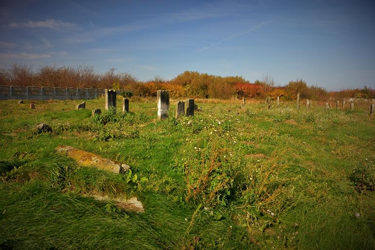 Cmentarz żydowski w Mszczonowie (9).JPG