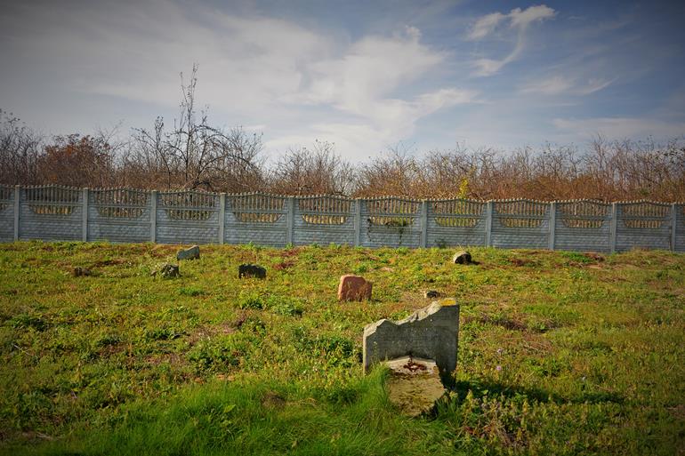 Cmentarz żydowski w Mszczonowie (14).JPG