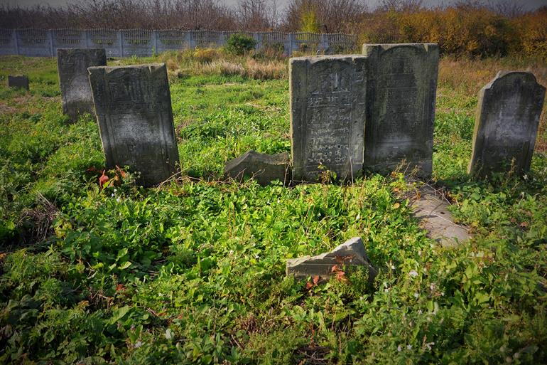 Cmentarz żydowski w Mszczonowie (20).JPG