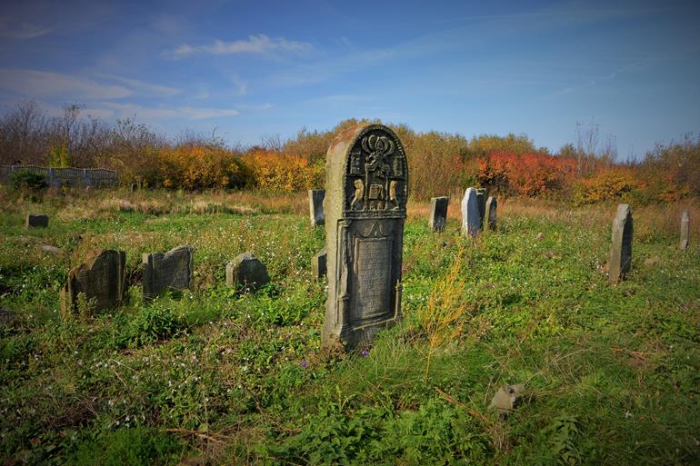 Cmentarz żydowski w Mszczonowie (22).JPG