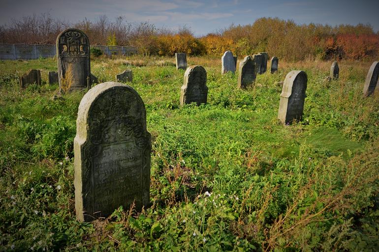 Cmentarz żydowski w Mszczonowie (23).JPG