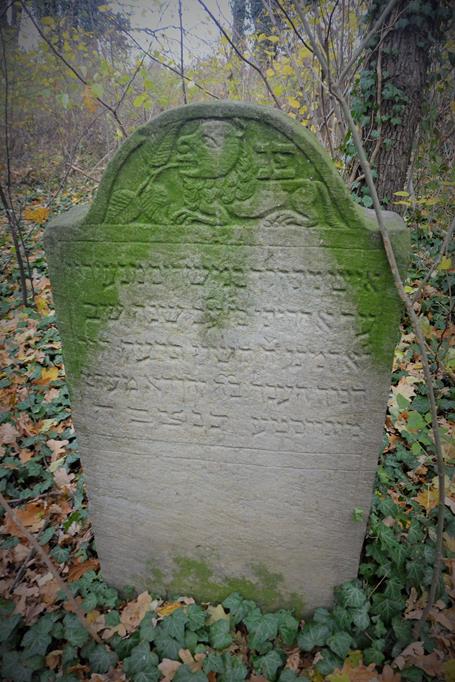 Na cmentarzu żydowkim (2).JPG