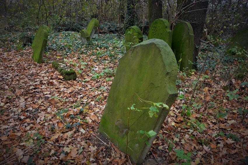 Na cmentarzu żydowkim (7).JPG