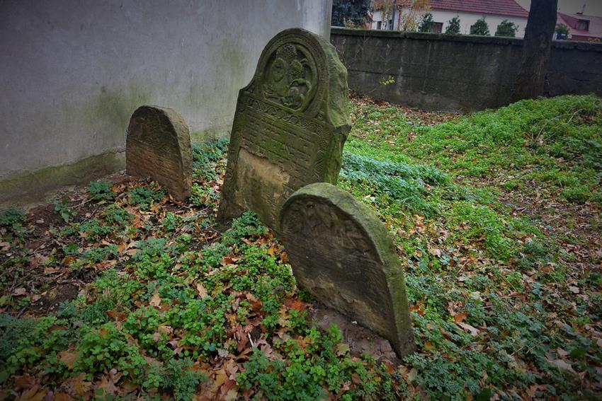 Na cmentarzu żydowkim (9).JPG