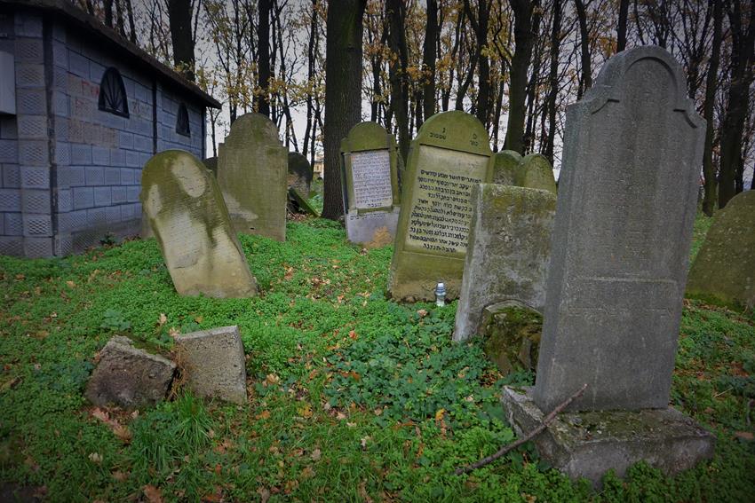 Na cmentarzu żydowkim (13).JPG
