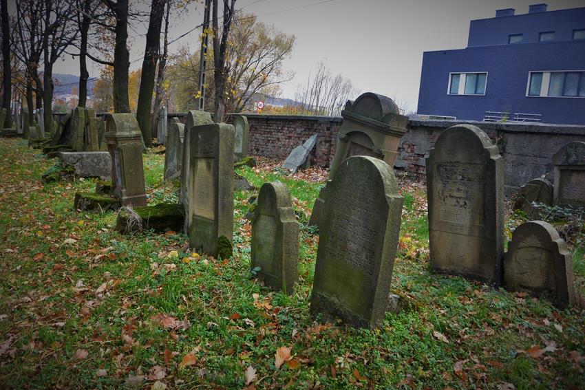 Na cmentarzu żydowkim (18).JPG