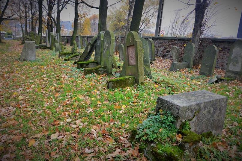 Na cmentarzu żydowkim (21).JPG