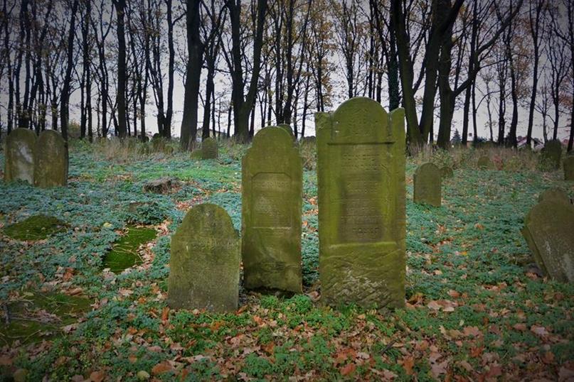 Na cmentarzu żydowkim (23).JPG