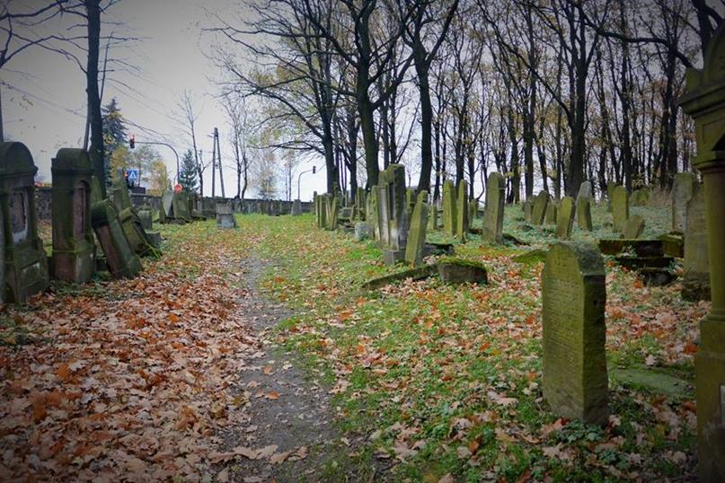 Na cmentarzu żydowkim (26).JPG