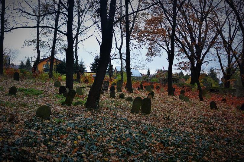 Na cmentarzu żydowkim (34).JPG