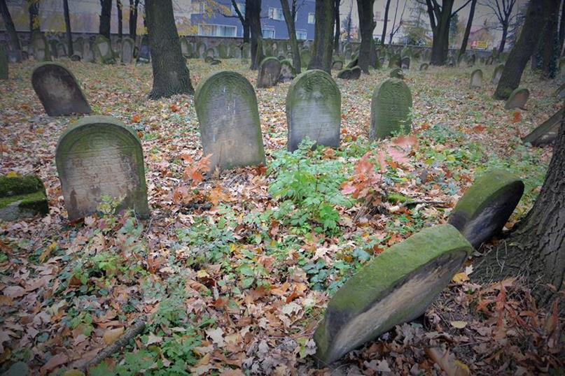 Na cmentarzu żydowkim (35).JPG