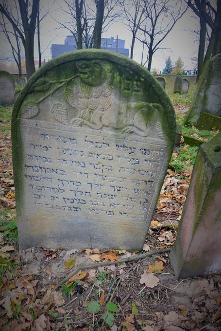 Na cmentarzu żydowkim (38).JPG