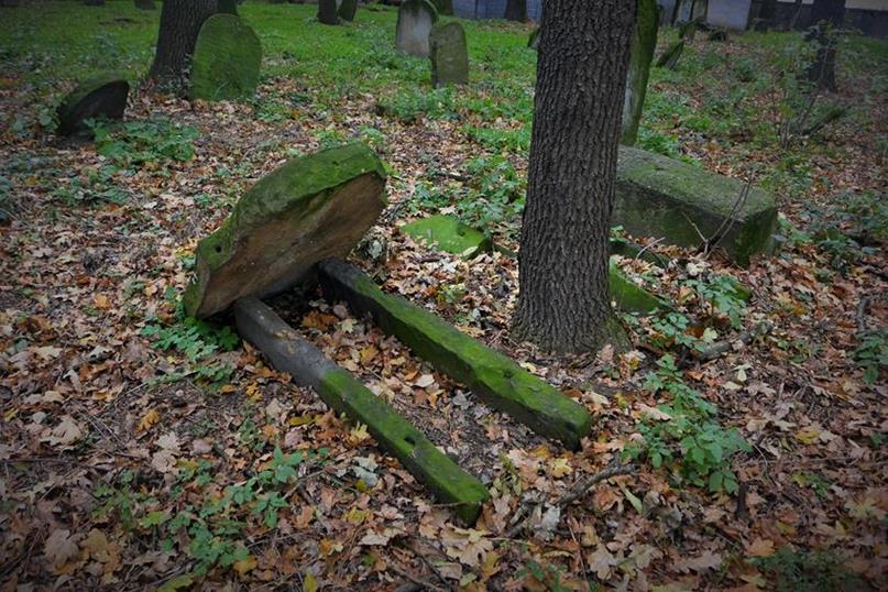 Na cmentarzu żydowkim (48).JPG
