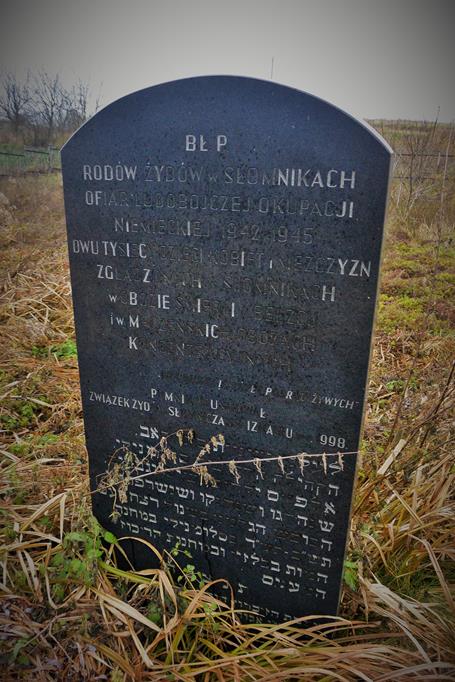 Cmentarz żydowski w Słomnikach (8).JPG