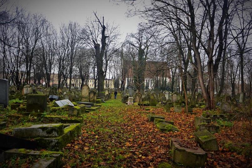Cmentarz żydowski w Tarnowie (8).JPG