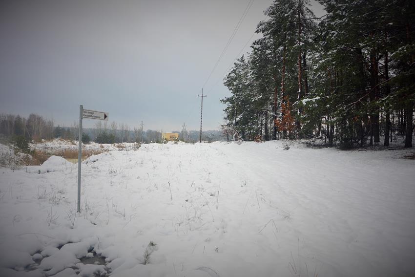 Widok ogólny na cmentarz (2).JPG