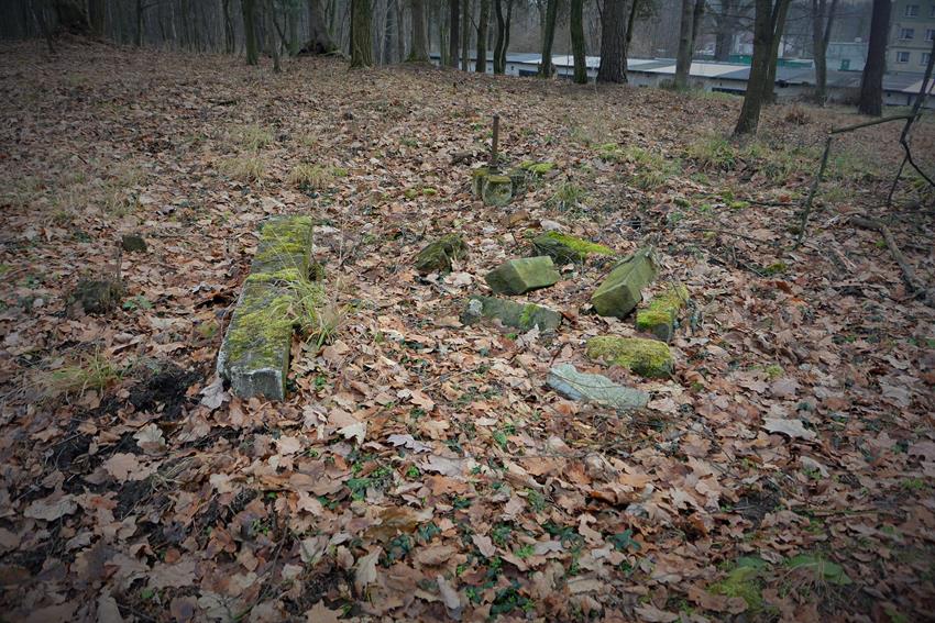 Zniszczony cmentarz (13).JPG