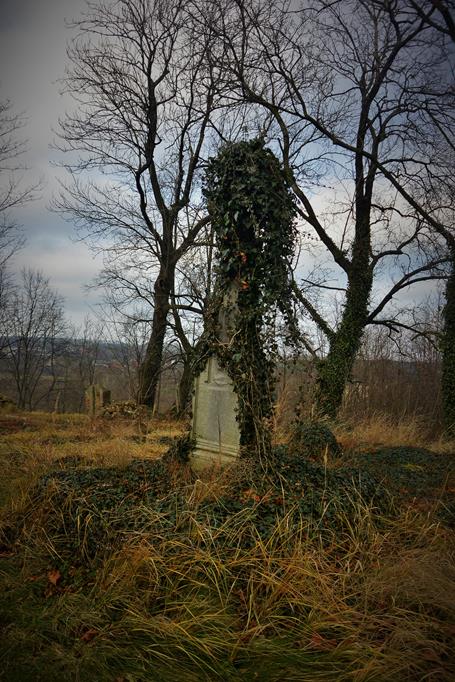 Włodzienin - stary cmentarz (11).JPG