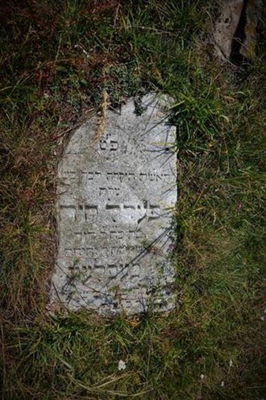 Cmentarz żydowski (24).JPG