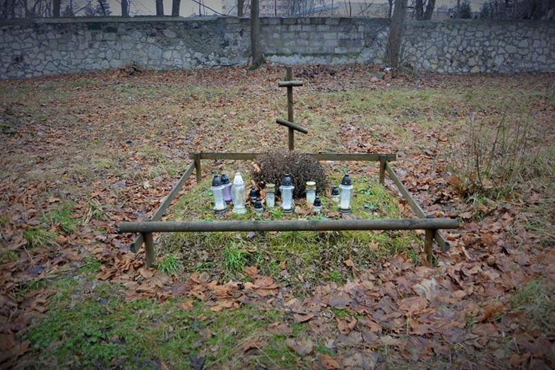 Cmentarz prawosławny w styczniu 2018 roku (11).JPG
