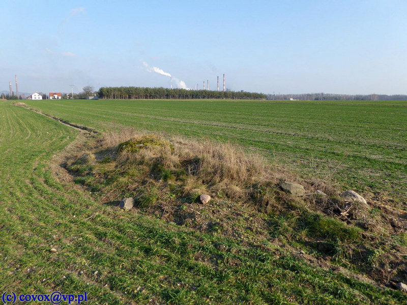 Zdzieszowice_Flak1_1.jpg