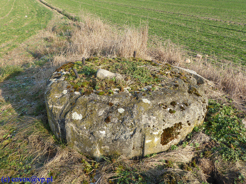 Zdzieszowice_Flak2_2.jpg