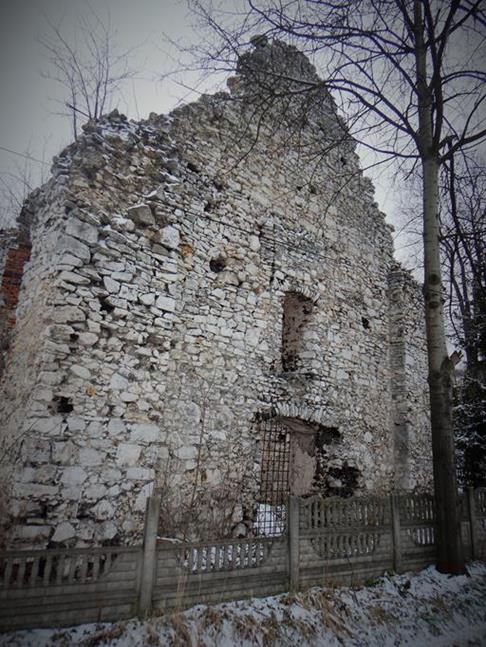 Zarzecze - ruiny (2).JPG
