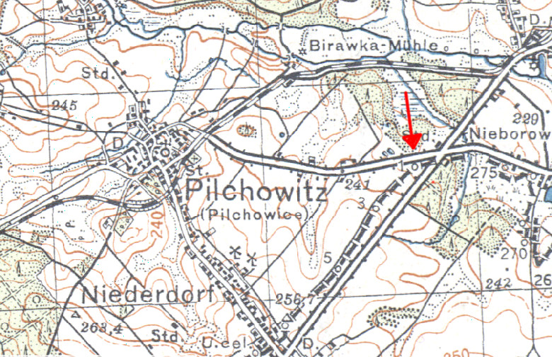 granicznik Pilchowice (1).jpg