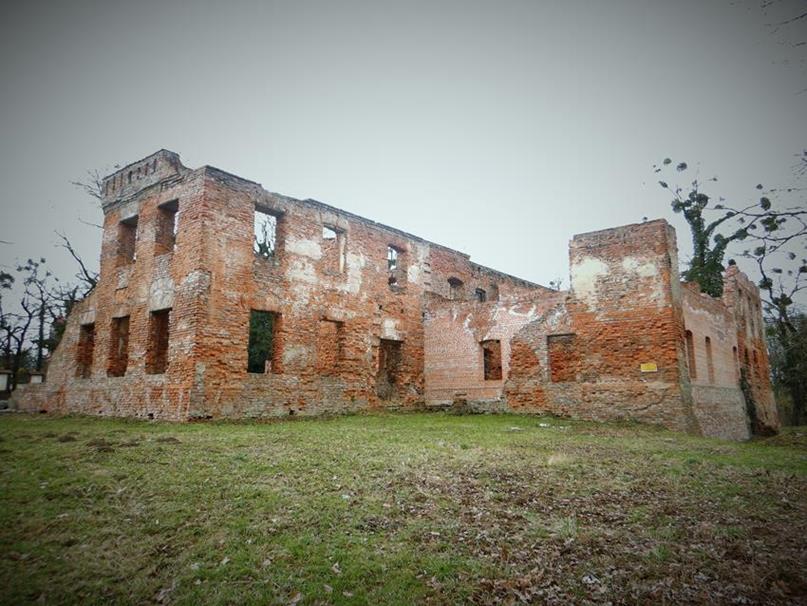 Ruiny pałacu (7).JPG