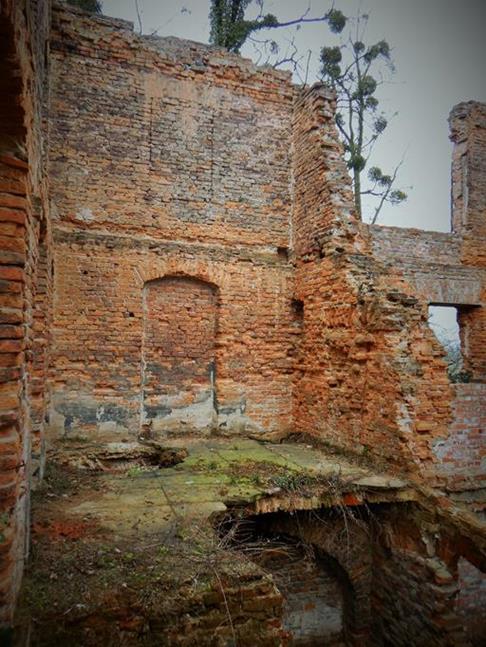 Ruiny pałacu (14).JPG