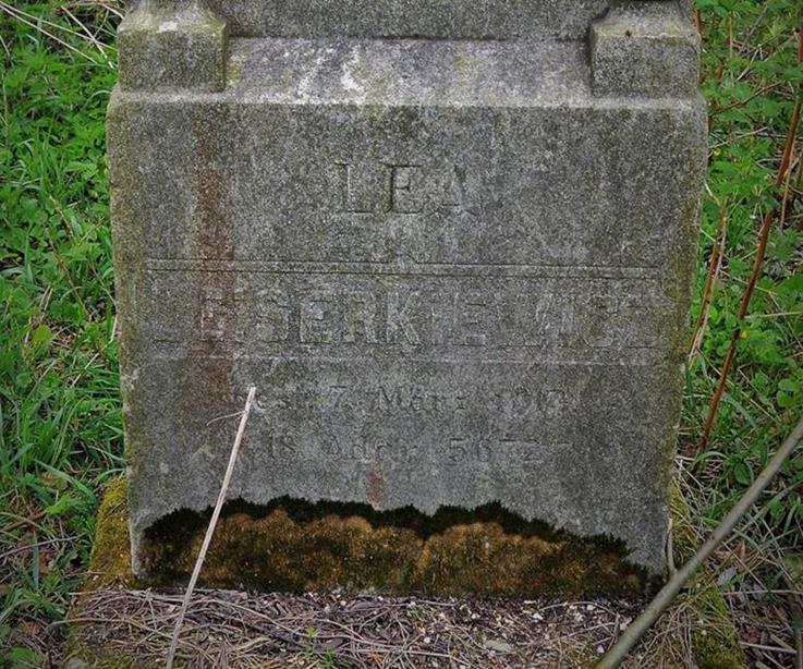 Zator - cmentarz żydowski (4).JPG