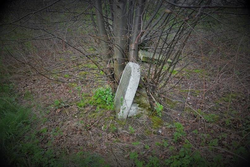 Zator - cmentarz żydowski (7).JPG